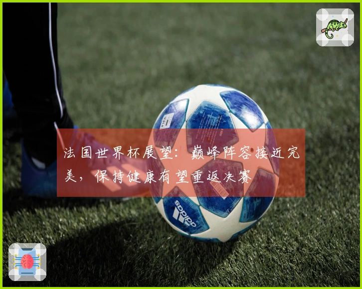 法国世界杯展望：巅峰阵容接近完美，保持健康有望重返决赛