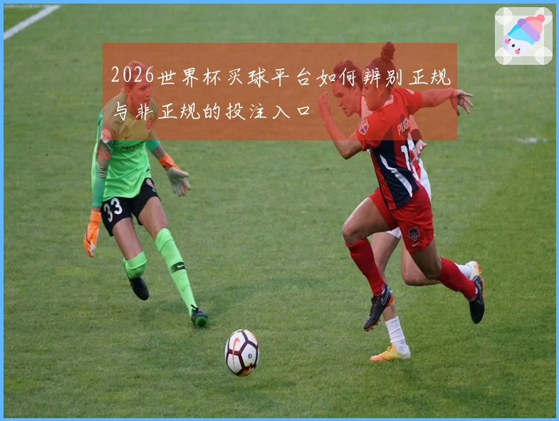 2026世界杯买球平台如何辨别正规与非正规的投注入口