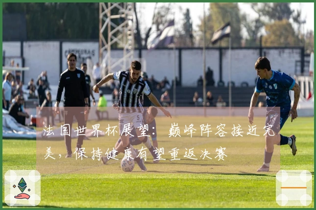 法国世界杯展望:巅峰阵容接近完美,保持健康有望重返决赛